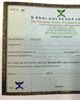 01 - CCCI Membership Certificate
